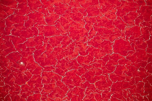 Africa-Tanzania-Aerial view of patterns of red algae and salt formations in shallow salt waters